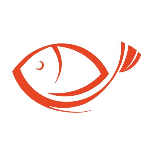 Method Feeder Classic Flat Interschimbabil XL Romanian cu tijă